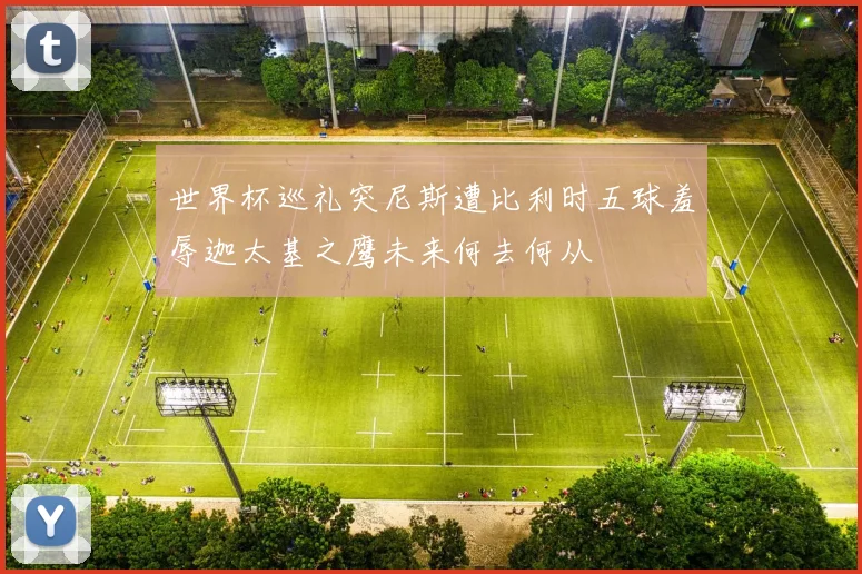 世界杯巡礼突尼斯遭比利时五球羞辱迦太基之鹰未来何去何从